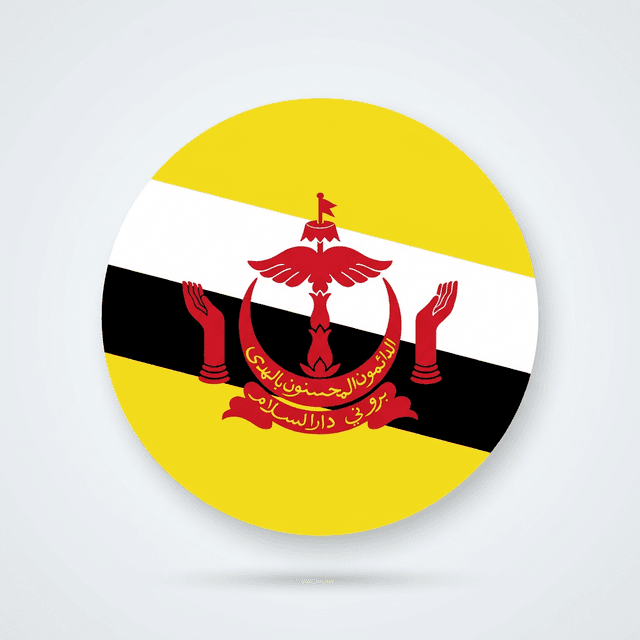 BN Flag